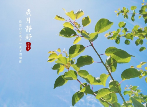 愿歲月靜好，山河無恙